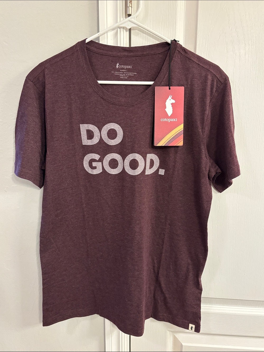 Cotopaxi Do Good Organic Tee